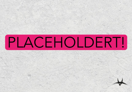 placeholdert.jpg